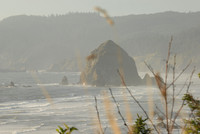 Oregon Coast 2007