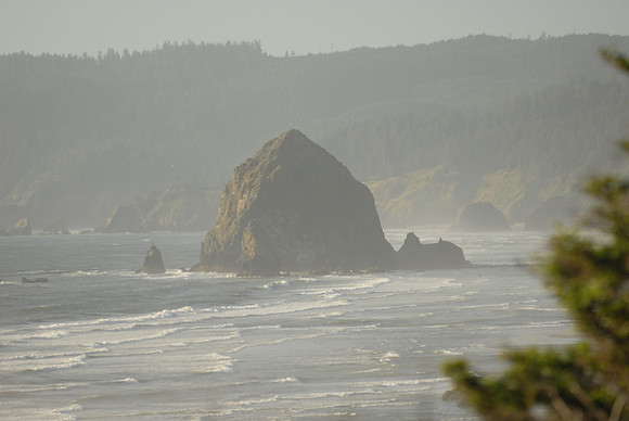 D2C_1915